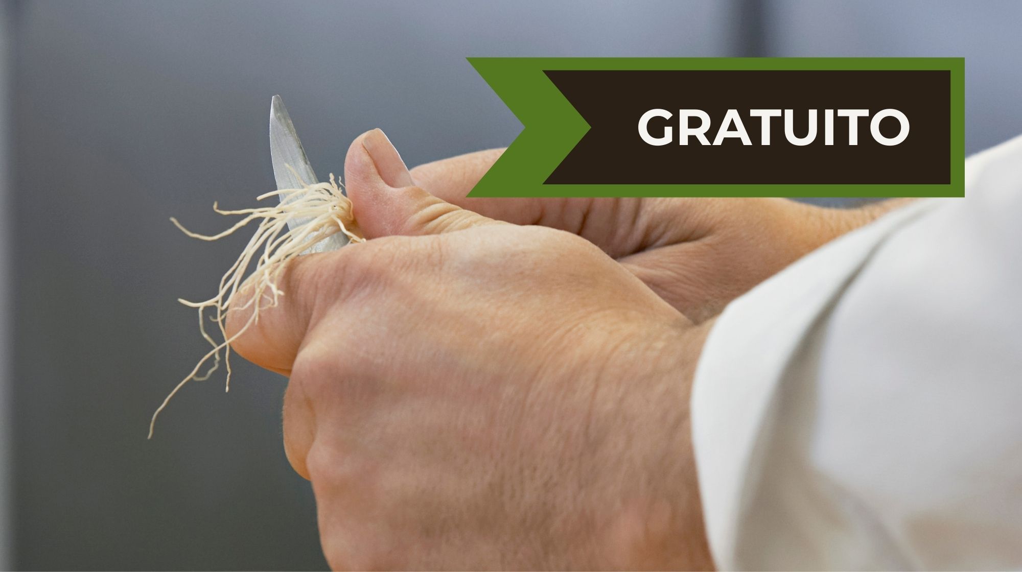 Aprende a cocinar  >>>>> 45-60 años